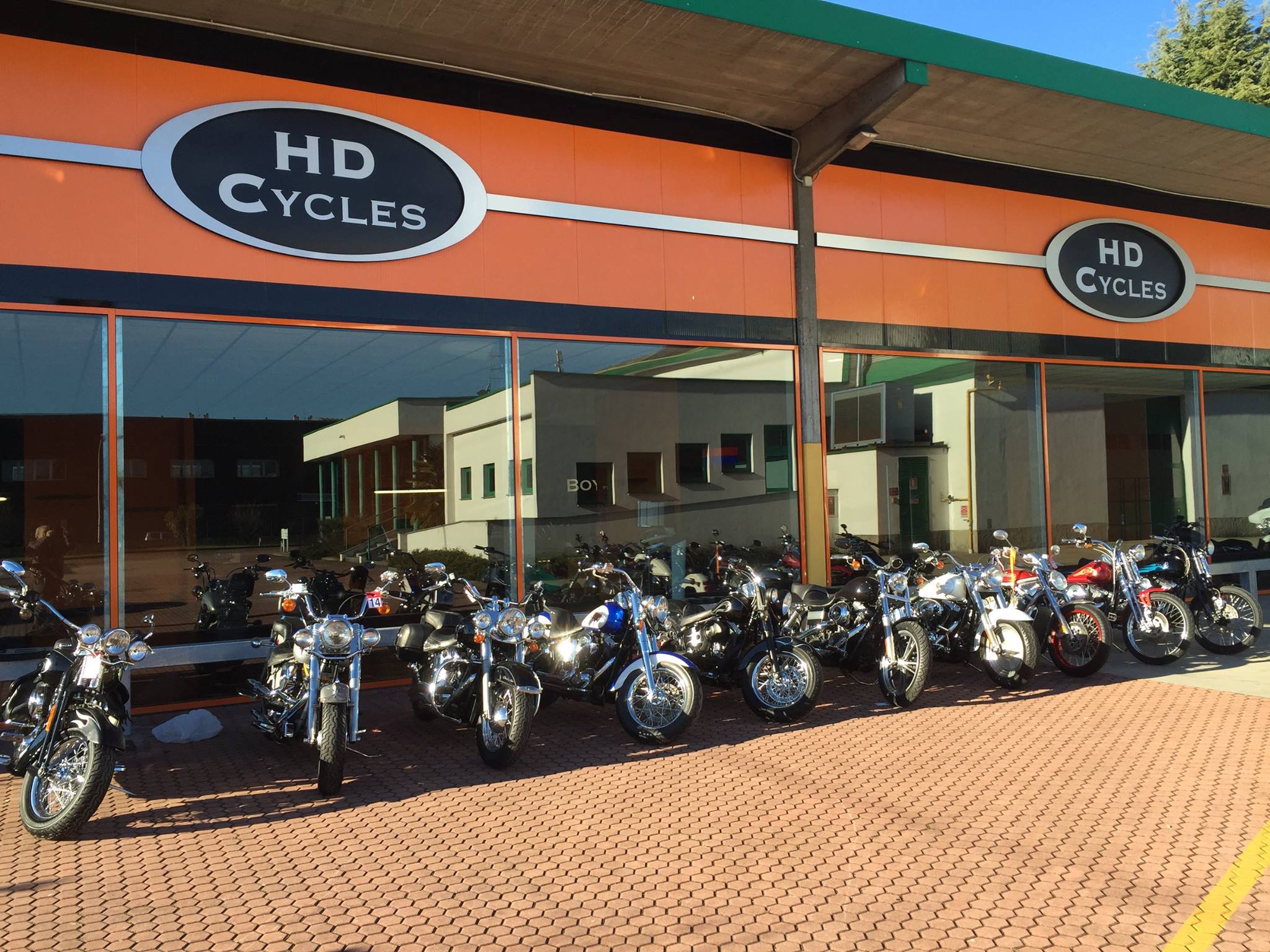 Indian Moto - HD Cycles